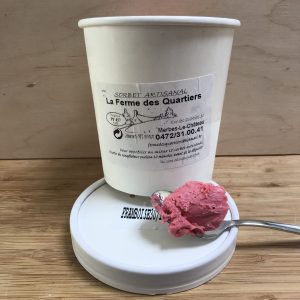 sorbet artisanal 500 ml